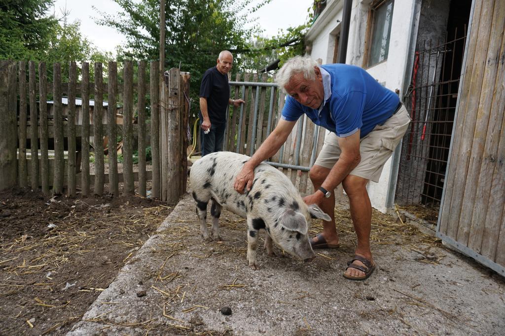 Bio-Bauernhof Rettenbachgut Werfen Exterior foto