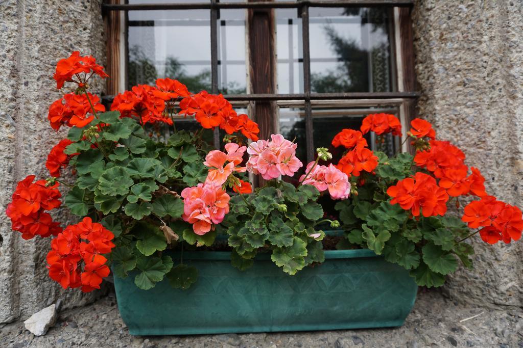 Bio-Bauernhof Rettenbachgut Werfen Exterior foto