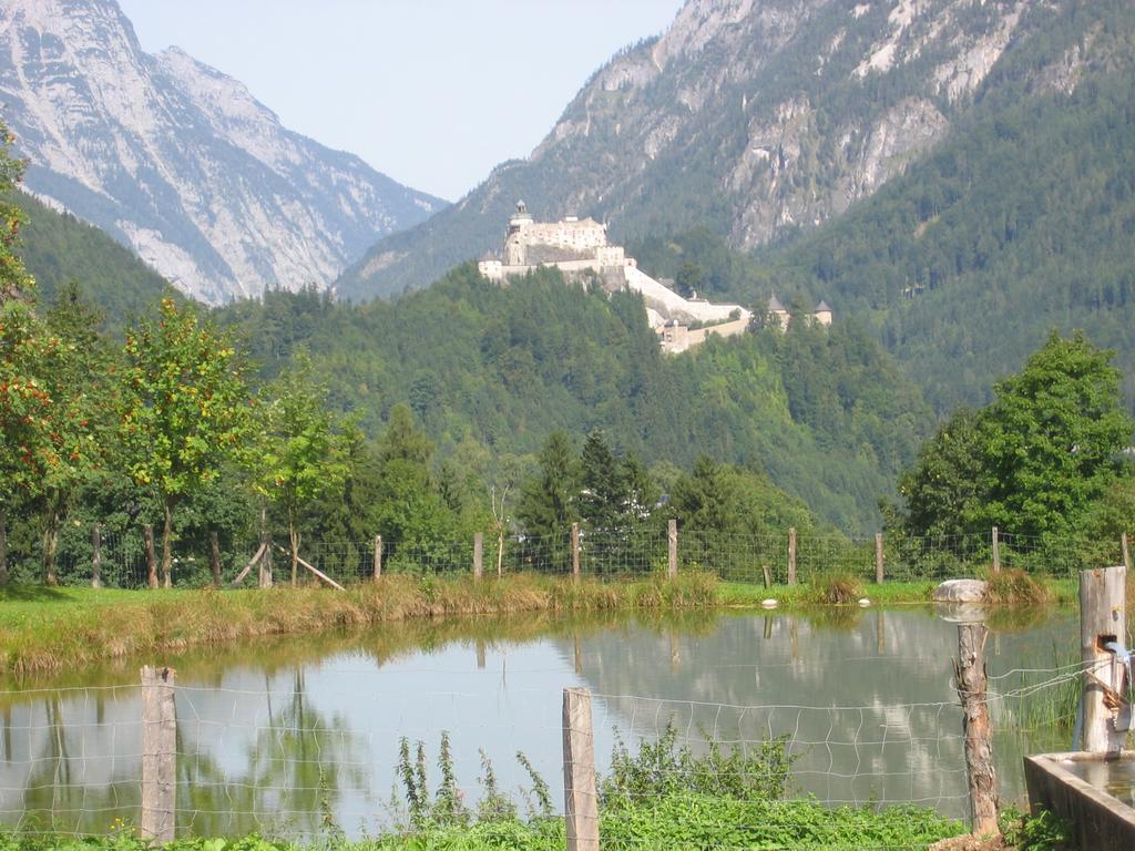 Bio-Bauernhof Rettenbachgut Werfen Exterior foto